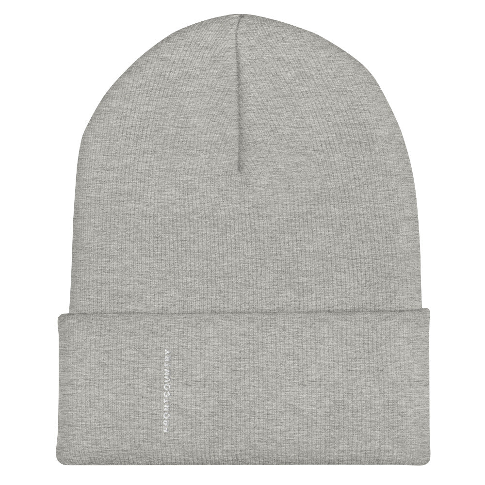 Frontcountry Classic Beanie